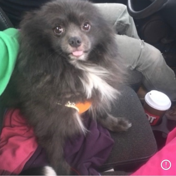 Néw offer please read it’s spectacular!🤗 - Picture 9 of 9